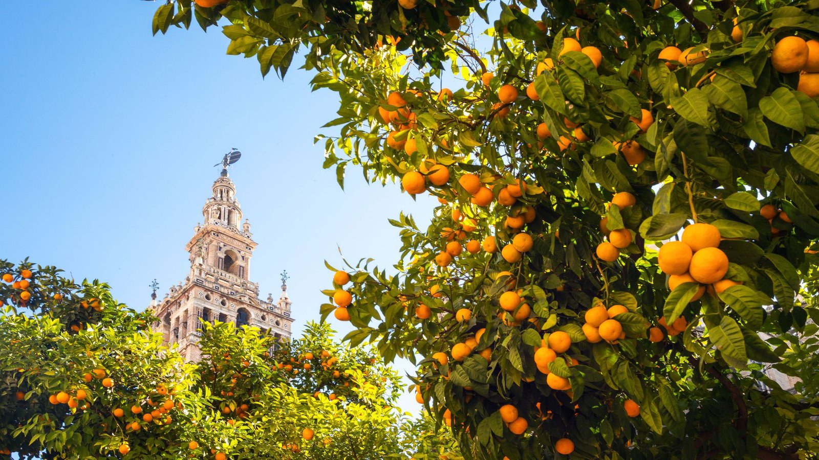 Spain location services