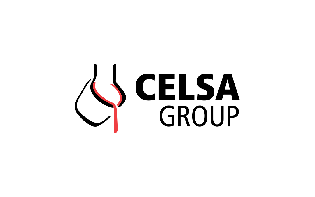 CELSA Group – Executive Leadership Interviews