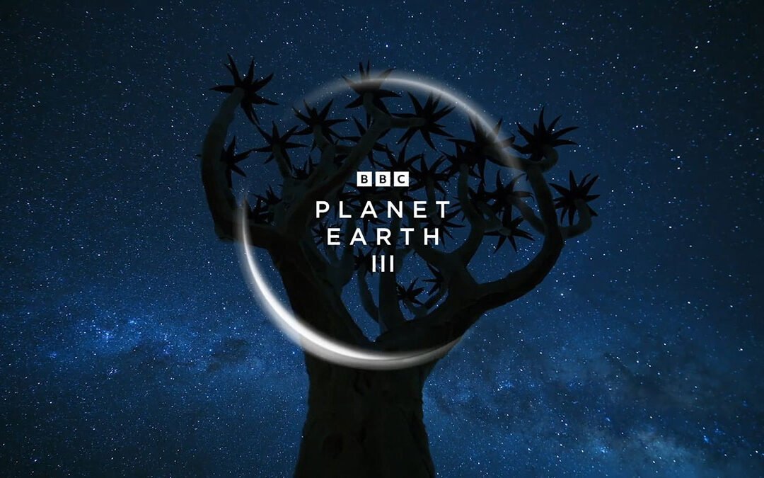 Our Planet Earth – A Dengue Invasion